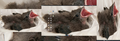 Thumbnail for version as of 07:07, 22 April 2025